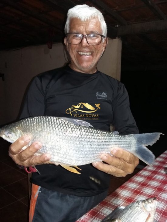 chacara-venda-martinho-campos-657960