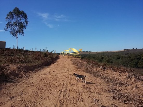 chacara-venda-martinho-campos-657973