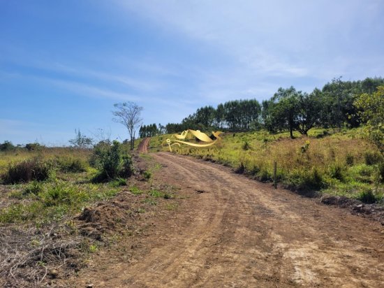 chacara-venda-martinho-campos-657961