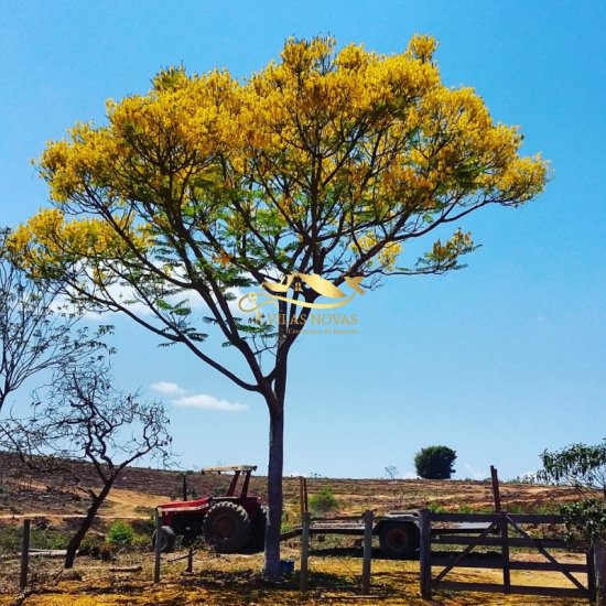 chacara-venda-martinho-campos-657962