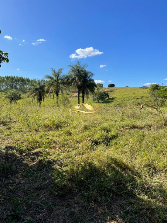 chacara-venda-martinho-campos-657963