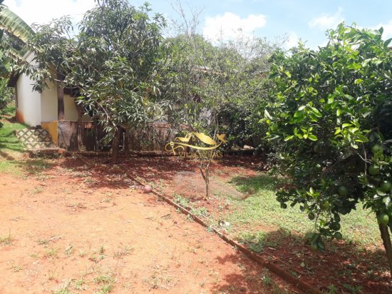 rancho-venda-juatuba-659513